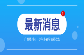 广西梧州市一小学多名学生被砍伤